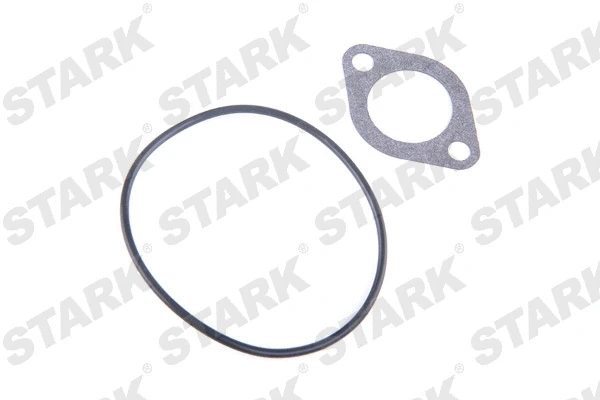 Pompe à eau, refroidissement du moteur Stark SKWP-0520027
