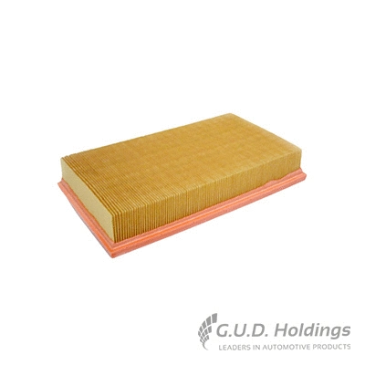 Filtre à air GUD AG1452