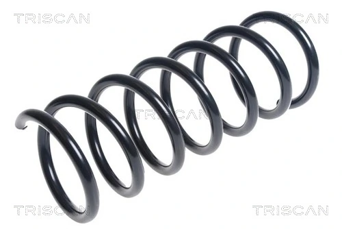 Ressort de suspension TRISCAN 8750 27112