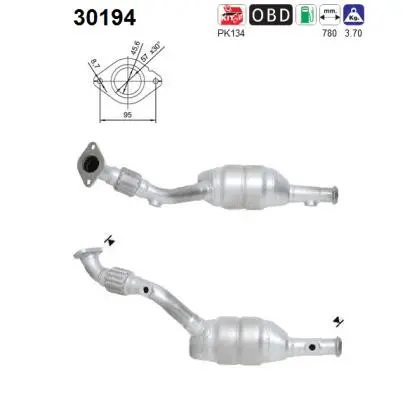 Catalyseur AS 30194