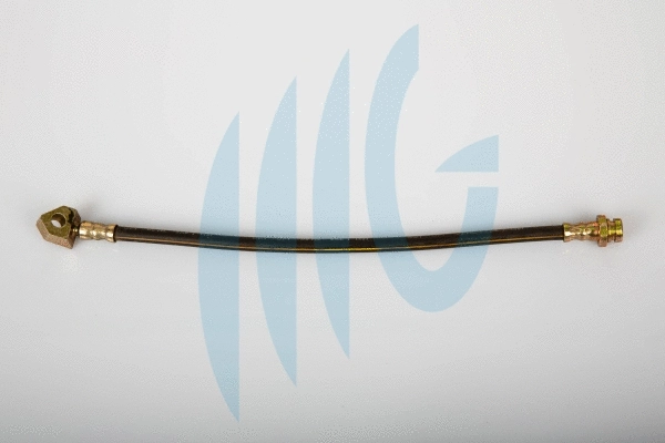 Flexible de frein RICAMBIFLEX GM 02100796