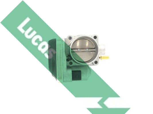 Corps papillon LUCAS LTH449