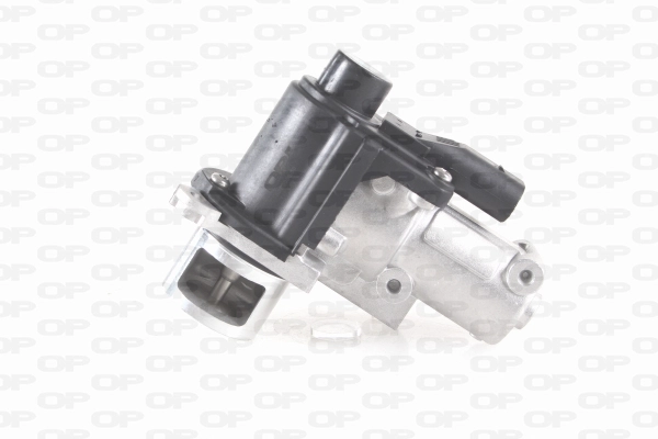 Vanne EGR OPEN PARTS EGR3006.00