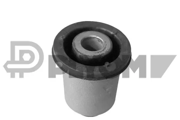 Suspension, corps de l'essieu PLYOM P759543