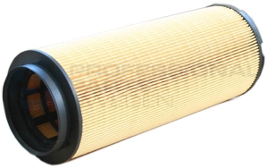 Filtre à air Professional Parts 24431488