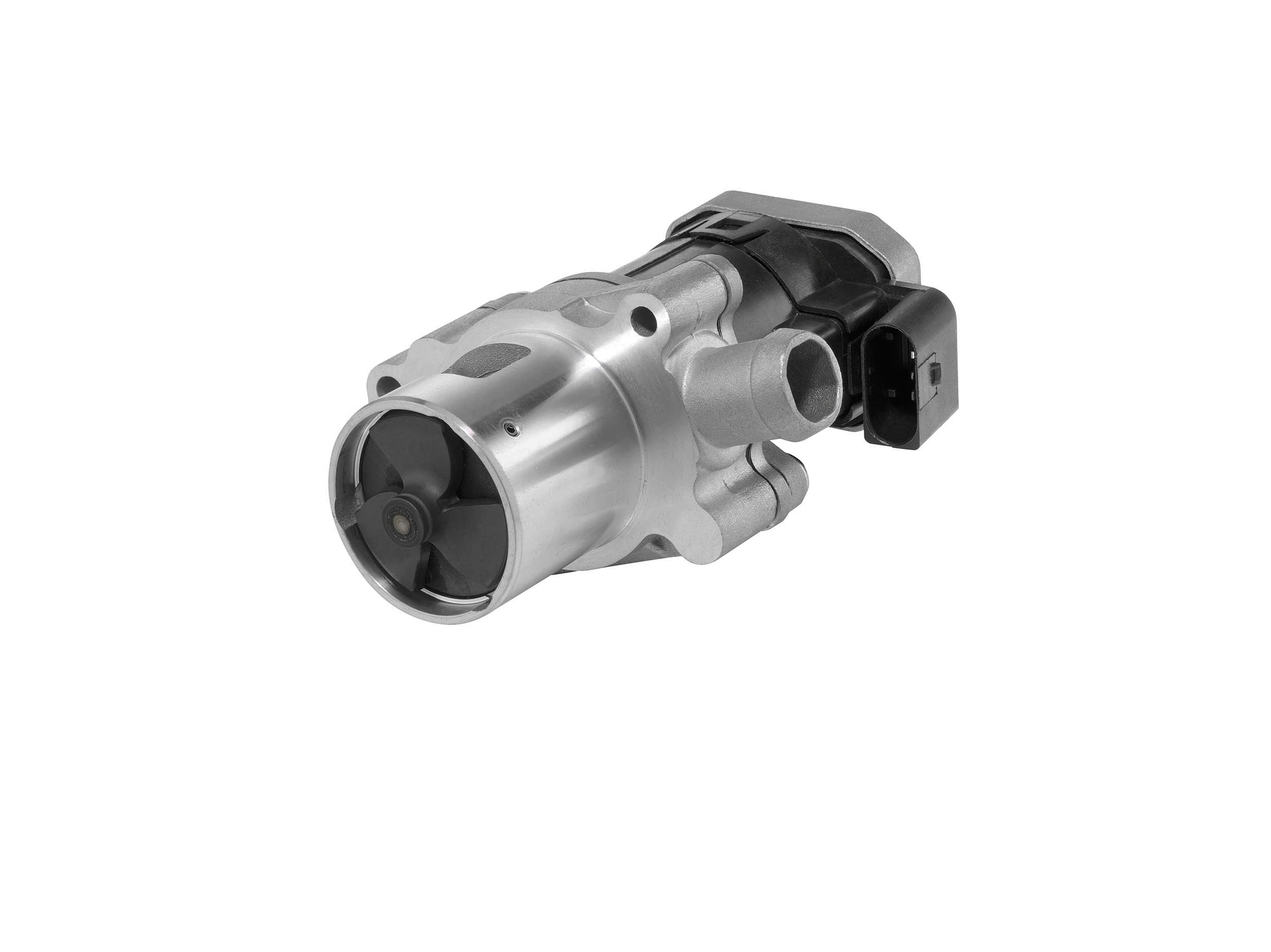 Vanne EGR BorgWarner 7610D/1