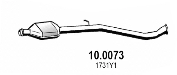 Catalyseur ASSO 10.0073