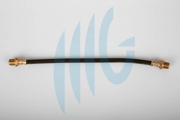 Flexible de frein RICAMBIFLEX GM 02380495