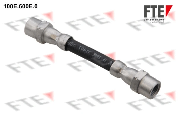 Flexible de frein FTE 9240877