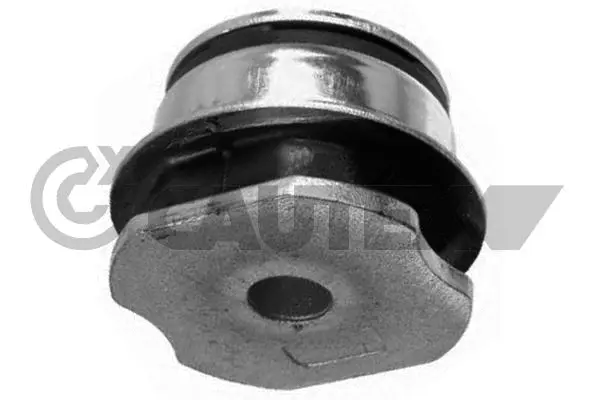 Suspension, corps de l'essieu CAUTEX 010761