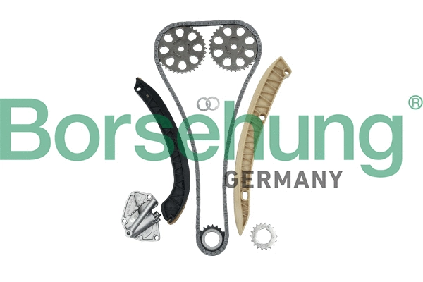 Kit de distribution par chaîne Borsehung B16295