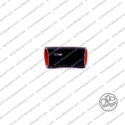 Gaine de suralimentation DIPASPORT HSEKLR011DPSN