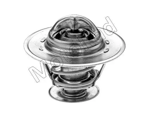 Thermostat, liquide de refroidissement MOTORAD 231-79K