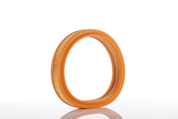Filtre à air PZL Filters WA20135