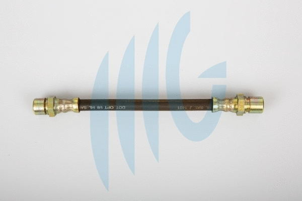 Flexible de frein RICAMBIFLEX GM 02510931