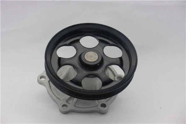Pompe à eau, refroidissement du moteur GMB GWT-117A