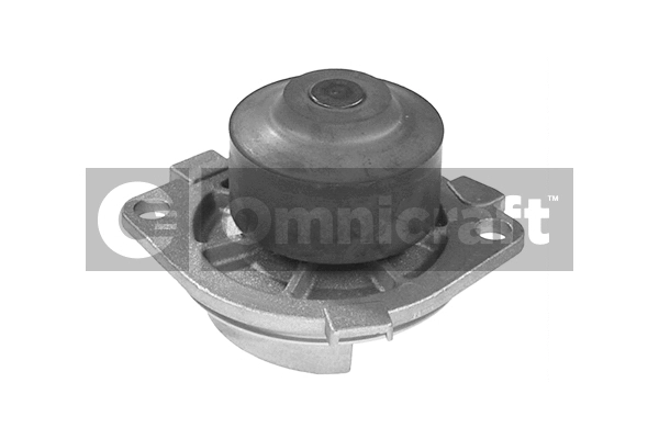 Pompe à eau, refroidissement du moteur Omnicraft 2317296