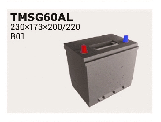 Batterie de démarrage IPSA TMSG60AL