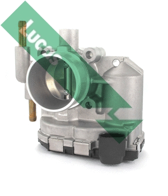 Corps papillon LUCAS LTH426