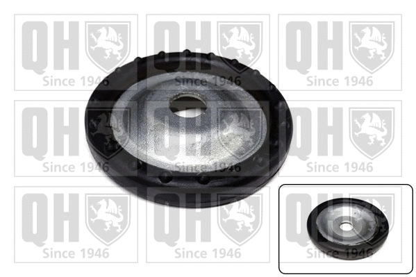 Patin de ressort QUINTON HAZELL EMR4835