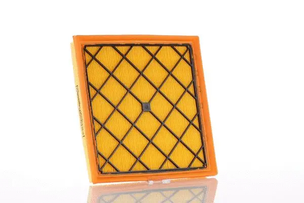 Filtre à air PZL Filters WA50303