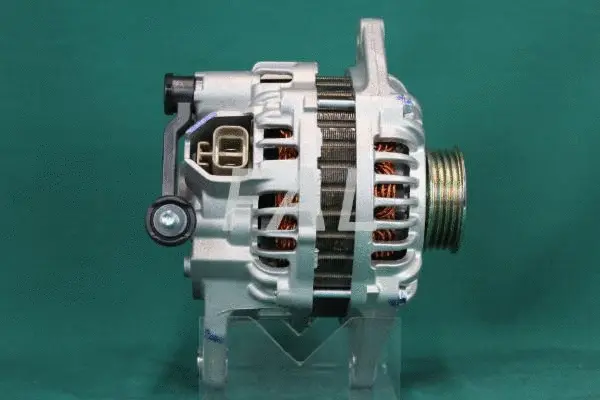Alternateur FAL Anlasser- und Lichtmaschinenservice F003039/1