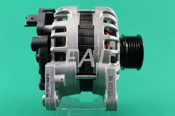 Alternateur FAL Anlasser- und Lichtmaschinenservice F013915/1