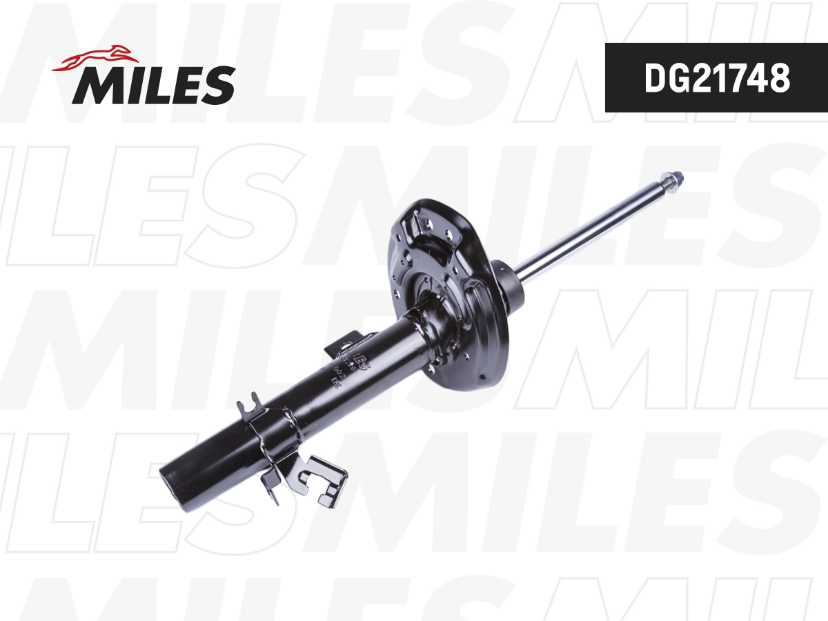 Amortisseur MILES DG21748