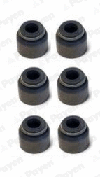 Jeu de joints d'étanchéité, tige de soupape PAYEN HR5075
