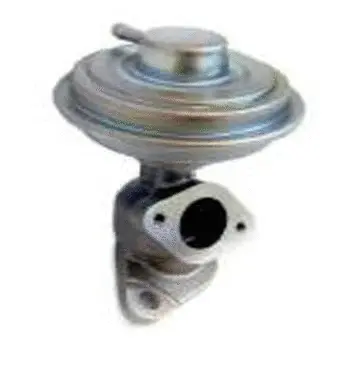 Vanne EGR ASSO 70.0129