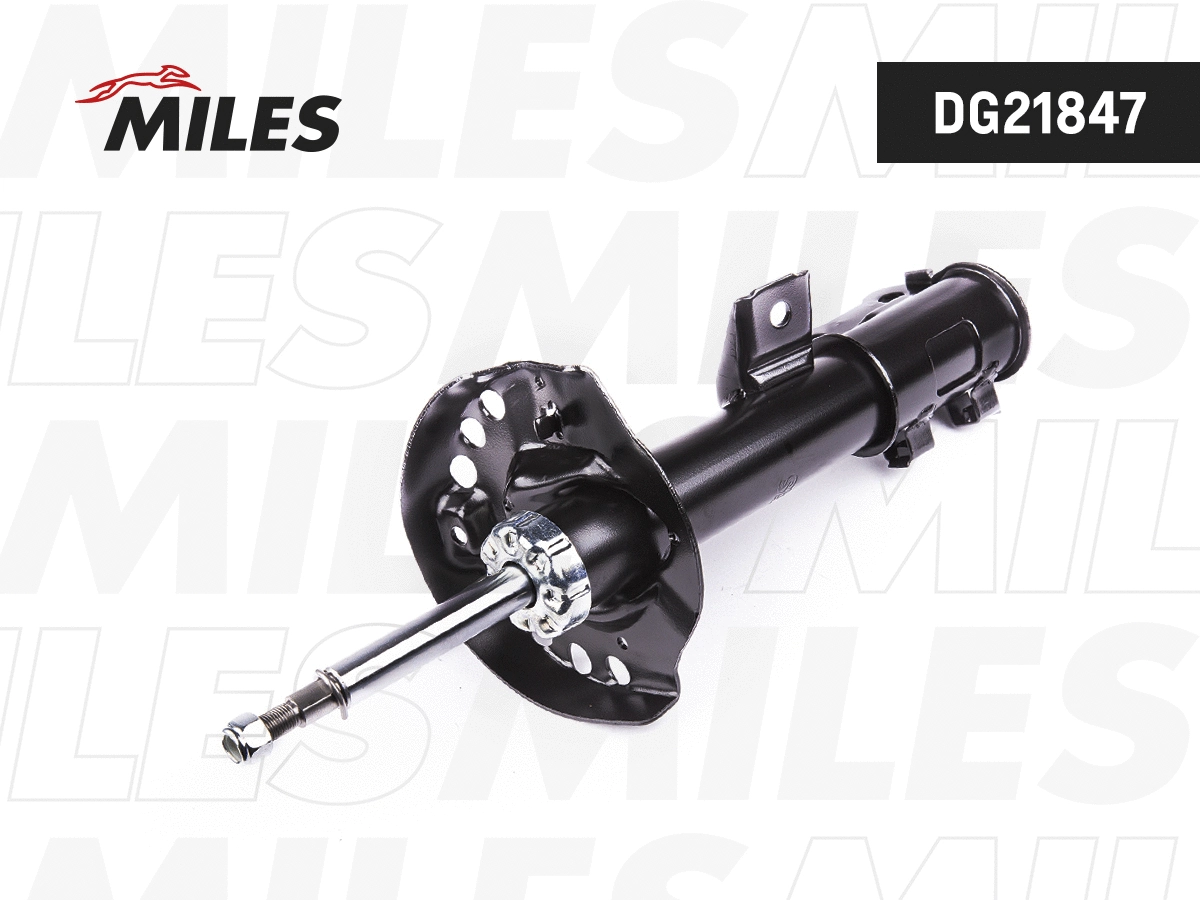 Amortisseur MILES DG21847