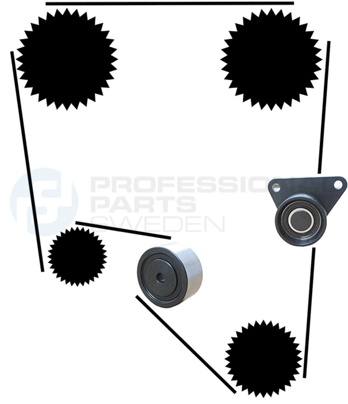 Kit de courroie crantée Professional Parts 21430012