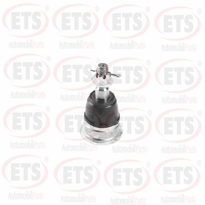 Rotule de suspension ETS 55.BJ.831