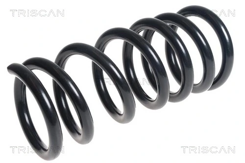 Ressort de suspension TRISCAN 8750 42102