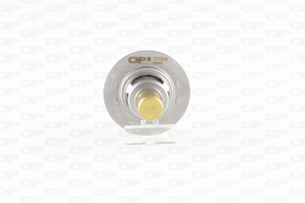 Thermostat, liquide de refroidissement OPEN PARTS TRM1009.00