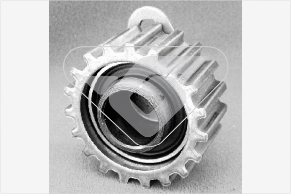 Poulie de tension, courroie crantée HUTCHINSON HTG 66