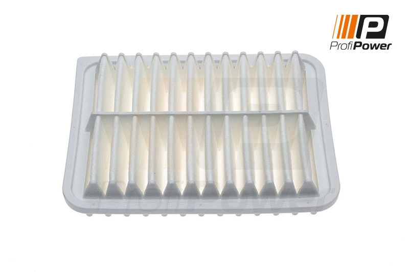 Filtre à air ProfiPower 2F0065