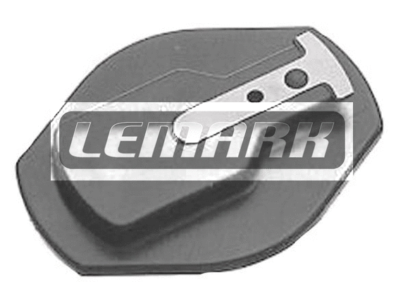Doigt allumeur LEMARK LRT066