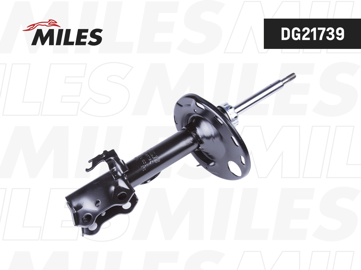 Amortisseur MILES DG21739