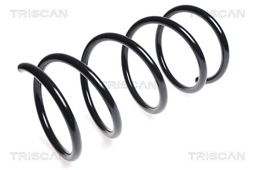 Ressort de suspension TRISCAN 8750 1843