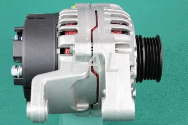 Alternateur FAL Anlasser- und Lichtmaschinenservice F002999/2