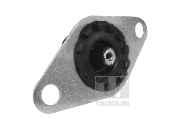 Support moteur TEDGUM 00215024