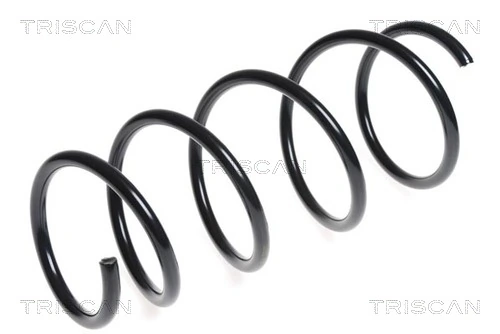 Ressort de suspension TRISCAN 8750 13170
