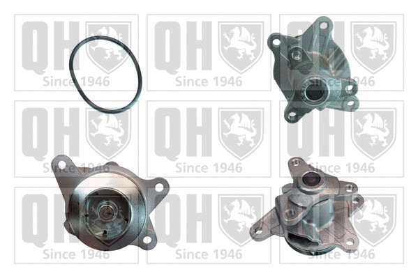 Pompe à eau, refroidissement du moteur QUINTON HAZELL QCP3829