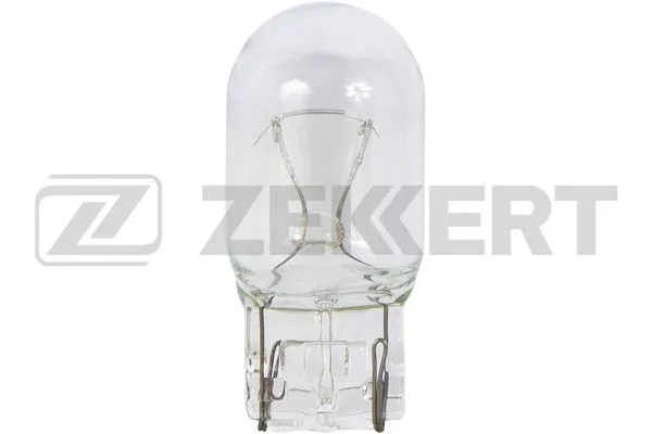 Ampoule, feu diurne ZEKKERT LP-1121