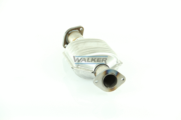 Catalyseur WALKER 28830