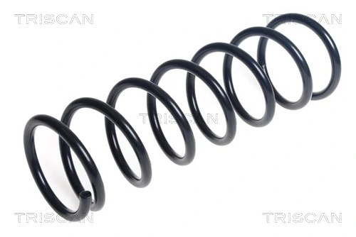 Ressort de suspension TRISCAN 8750 14138
