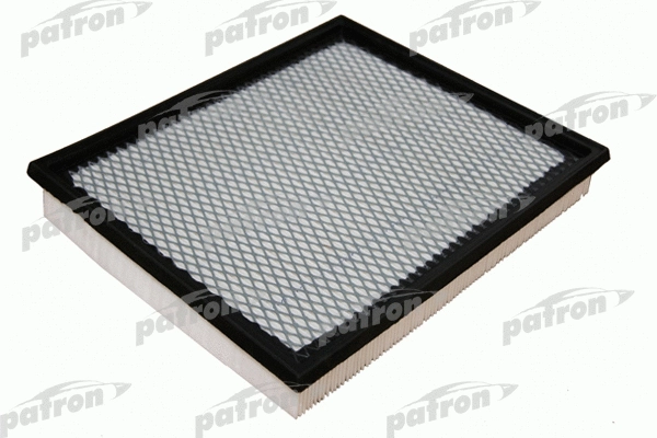 Filtre à air PATRON PF1011