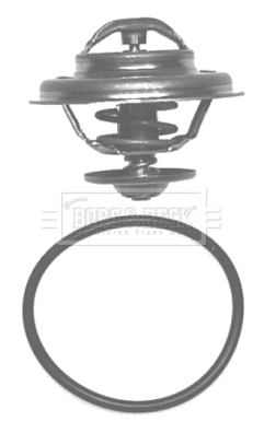 Thermostat, liquide de refroidissement BORG & BECK BBT029