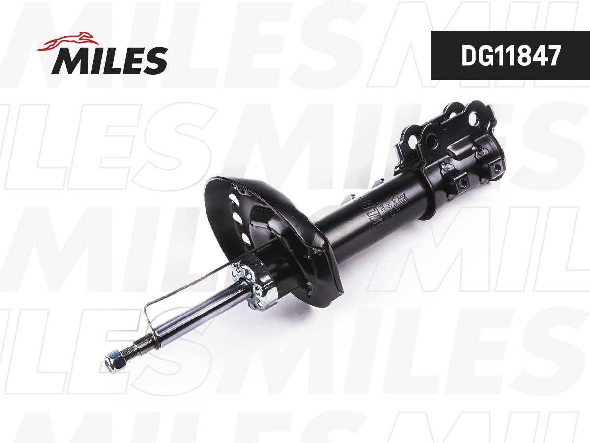 Amortisseur MILES DG11847